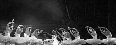Джеймс Кэмерон и Валерий Гергиев покажут «Лебединое озеро» в 3D